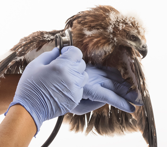 The Batchelor Foundation Philanthropic Support